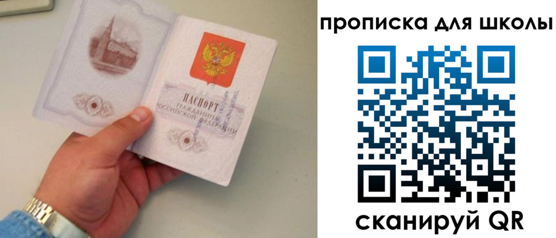 временная регистрация поиск в Балтийске